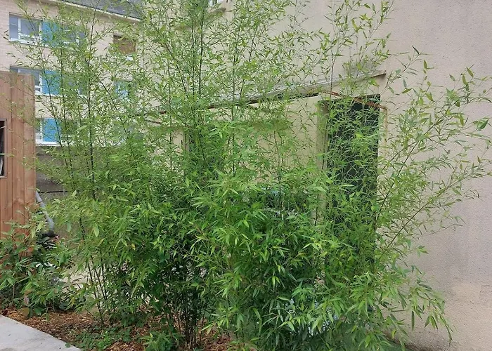 House In 別荘 カーン